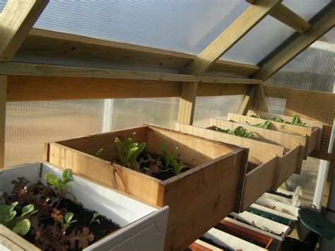 Windy Acres Diary: Mini-Greenhouse Fun