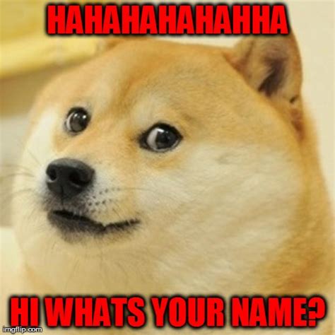 Doge Meme - Imgflip