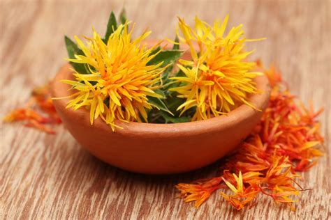 Safflower: benefits, uses & planting - Plantura