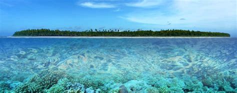 SWAINS ISLAND - One of the Last Jewels of the Planet | Ocean Futures ...