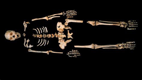 'Pit of Bones' Yields Oldest Known Human DNA - ABC News