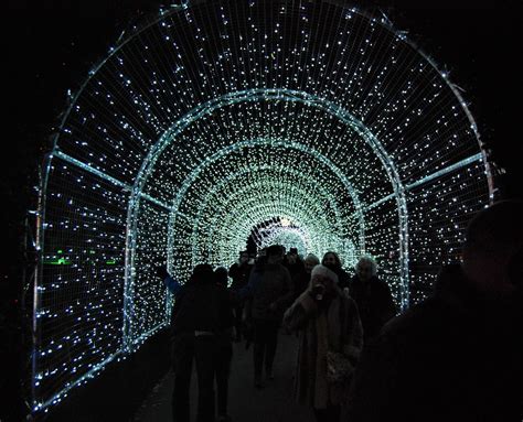 Christmas at Kew Gardens, a magical experience - A mum in London ...