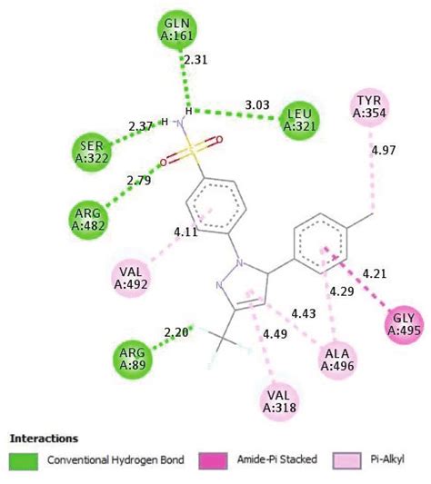 (a) Hydrogen bonding interactions of Celecoxib with the COX-2 protein... | Download Scientific ...