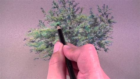 How To Draw Bushes With Colored Pencils : 3 Ways to Draw With Colored Pencils - wikiHow : Today ...