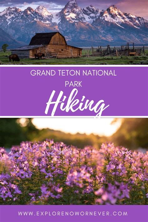 Follow this ultimate Grand Teton itinerary for the best hiking, kayaking, horseback riding, and ...