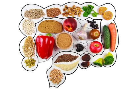 Top 10 Foods To Feed Your Gut Microbiome - Gut Health