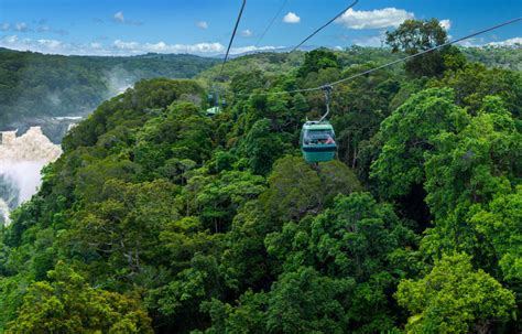 Skyrail Rainforest Cableway