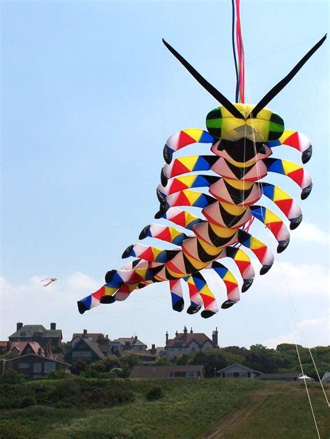 How very cool!! #kite | Kite, Go fly a kite, Kite making