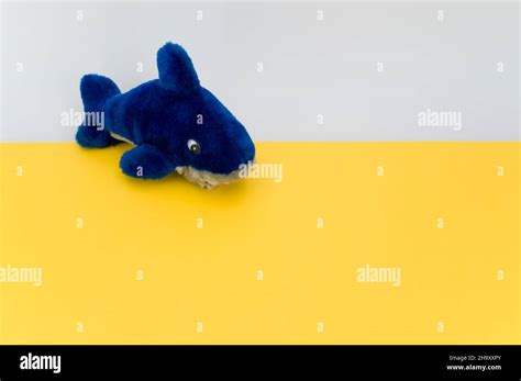 blue shark stuffed toy on a yellow background Stock Photo - Alamy