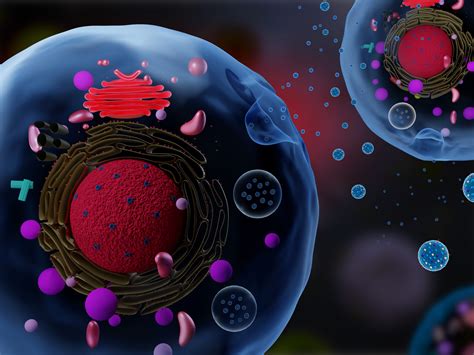 Engineering Exosomes for Clinical Applications