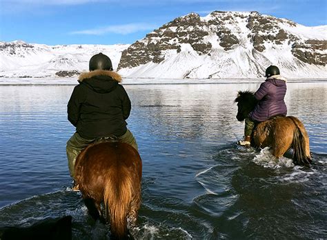 Private Horse Riding Tours in Iceland - Iceland Luxury Tours