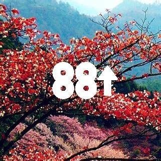 88rising Lyrics, Songs, and Albums | Genius