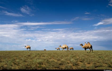 Breathtaking views of Kazakhstan nature · Kazakhstan travel and tourism blog