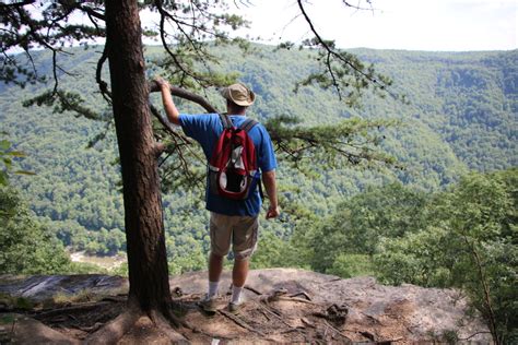 Best Day Hikes in New River Gorge, West Virginia | WanderWisdom