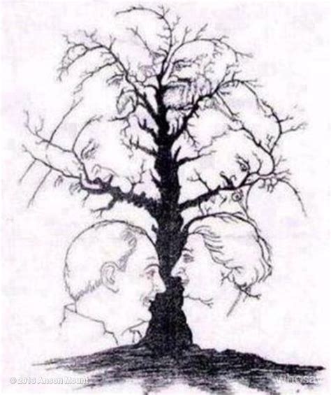 Faces in the Tree Optical Illusion