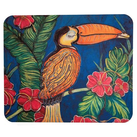 10 Best Toucan Bird Accessories for Your Feathered Friend - Hummingbirds Plus