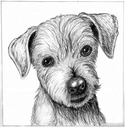 drawing picture: Dog's Sketch | Dog's Sketch, ranked 3 in th… | Flickr