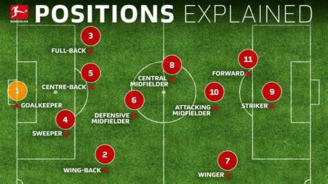 Bundesliga | Soccer positions explained: names, numbers and what they do | Soccer positions ...