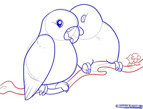 Lovebirds step by step. Love Birds Drawing, 3d Art Drawing, Online Drawing, Guided Drawing, Bird ...