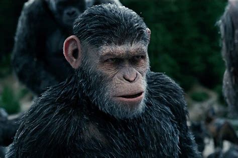 6 Pics of Caesar from ‘Planet of the Apes’ with a Caesar