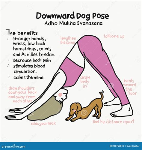 Downward Dog Yoga Pose and Benefits Cartoon Illustration Stock Vector - Illustration of girl ...