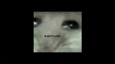 Hampter #samuel #shorts #meme #hampter - YouTube