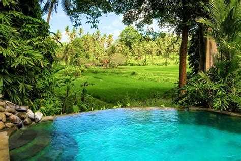 Stunning Villa *Amazing View* Best Service - Villas for Rent in Ubud, Bali, Indonesia | Ubud ...