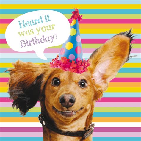 Pet Pawtrait Card - Sausage Dog Party (Birthday Card)