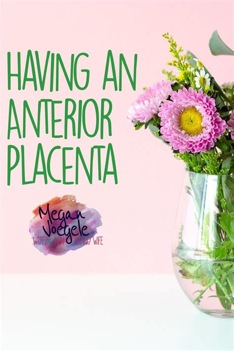 Having an Anterior Placenta Five Weeks Pregnant, Anterior Placenta, Fetal Movement, First ...