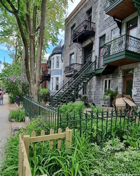 24 heures à Montréal, que faire, que visiter