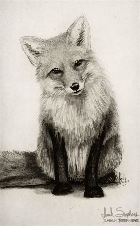 50+ Easy Pencil Drawings of Animals That Look So Realistic | Pencil drawings of animals, Animal ...