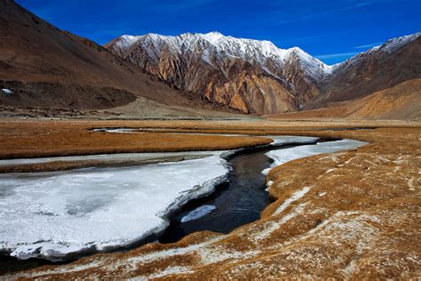 Fun moments on our winter photography journeys in Ladakh... - Darter Photography