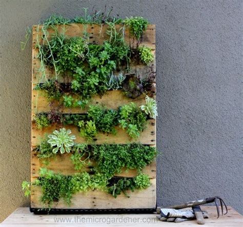 20 Creative Ways to Upcycle Pallets in your Garden | Mini jardins, Idee deco jardin, Déco jardin