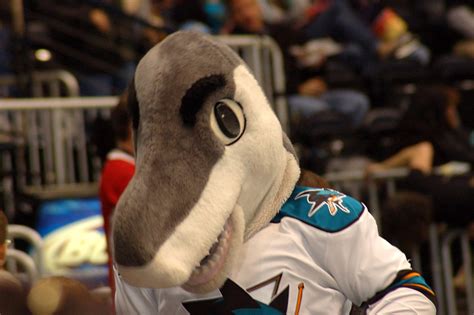 DSC_3747 | San Jose Sharks mascot S.J. Sharkie. | kaatiya | Flickr