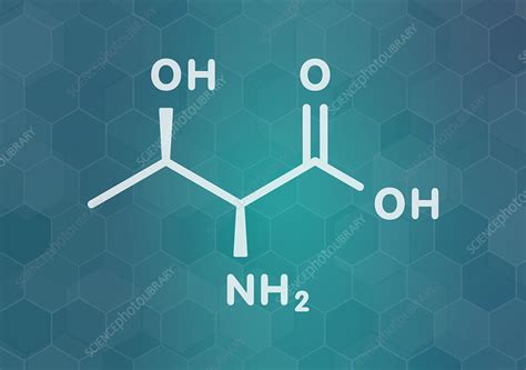 Threonine amino acid molecule, illustration - Stock Image - F027/9602 - Science Photo Library