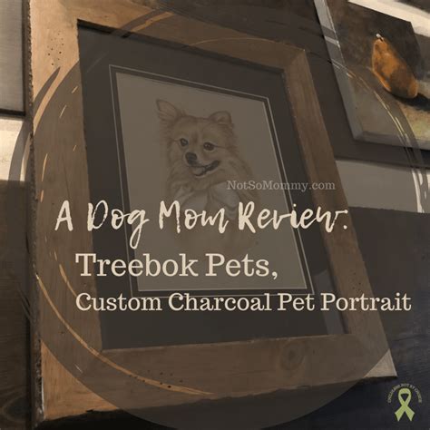 Treebok Pets, Custom Charcoal Pet Portrait | Review | Not So Mommy...™