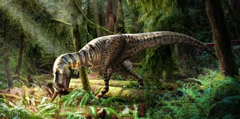 Fossilized Stomach Contents Reveal What Young Tyrannosaurs Ate | Sci.News