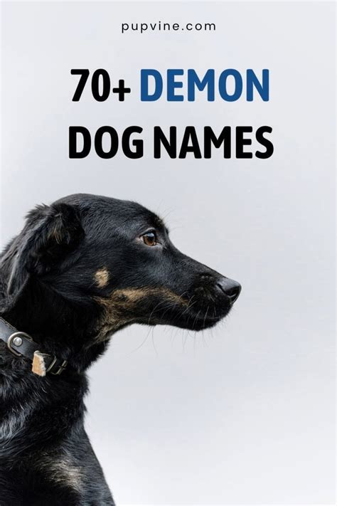 70 demon dog names the best hellhound names for your pooch – Artofit