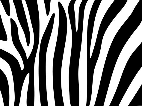 Zebra stripes design | PSDGraphics