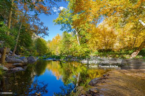 Fall Colors Along Oak Creek In Arizona High-Res Stock Photo - Getty Images