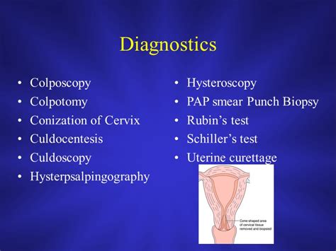 Introduction to Obstetrics & Gynecology Overview Objectives Match