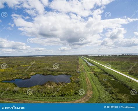 Lake Apopka Restoration Area Central Florida USA Stock Image - Image of ...