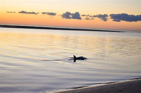 Beach Paradise - Seabrook Island | South Carolina