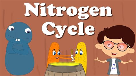 Nitrogen Cycle | #aumsum #kids #science #education #children - YouTube