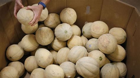 Two deaths tied to recalled cantaloupe, CDC says