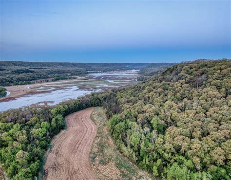 Aerial View of Green Trees · Free Stock Photo