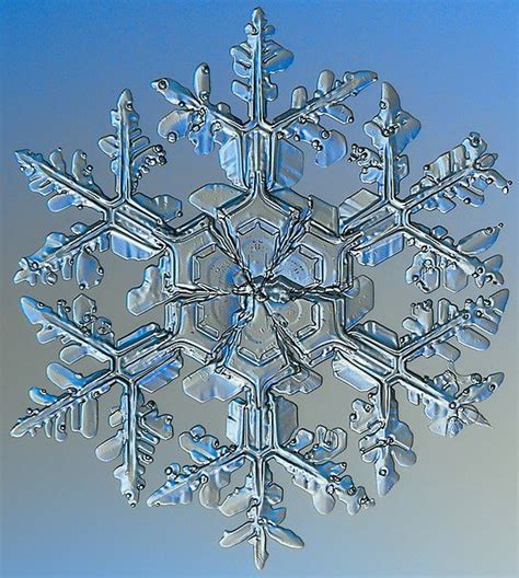 From Wikiwand: Macro image of a snowflake showing its fragile ice ...