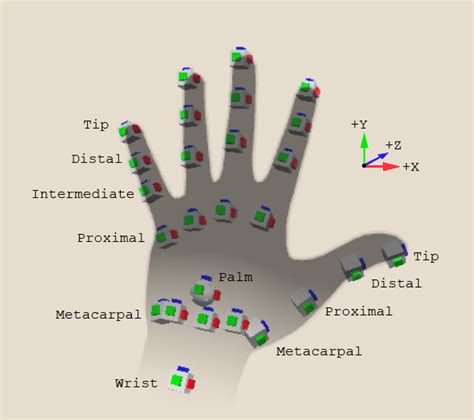 Hand data model | XR Hands | 1.1.0