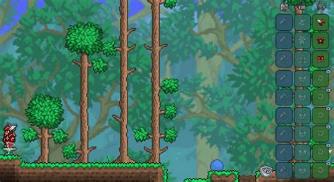 What Is the Best Armor in Terraria? A Full List