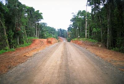 The Amazon Rainforest: Roads are enablers of rainforest destruction